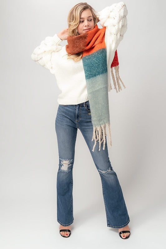 Multi Stripe Cozy Scarf with Fringe - Debs on 5th