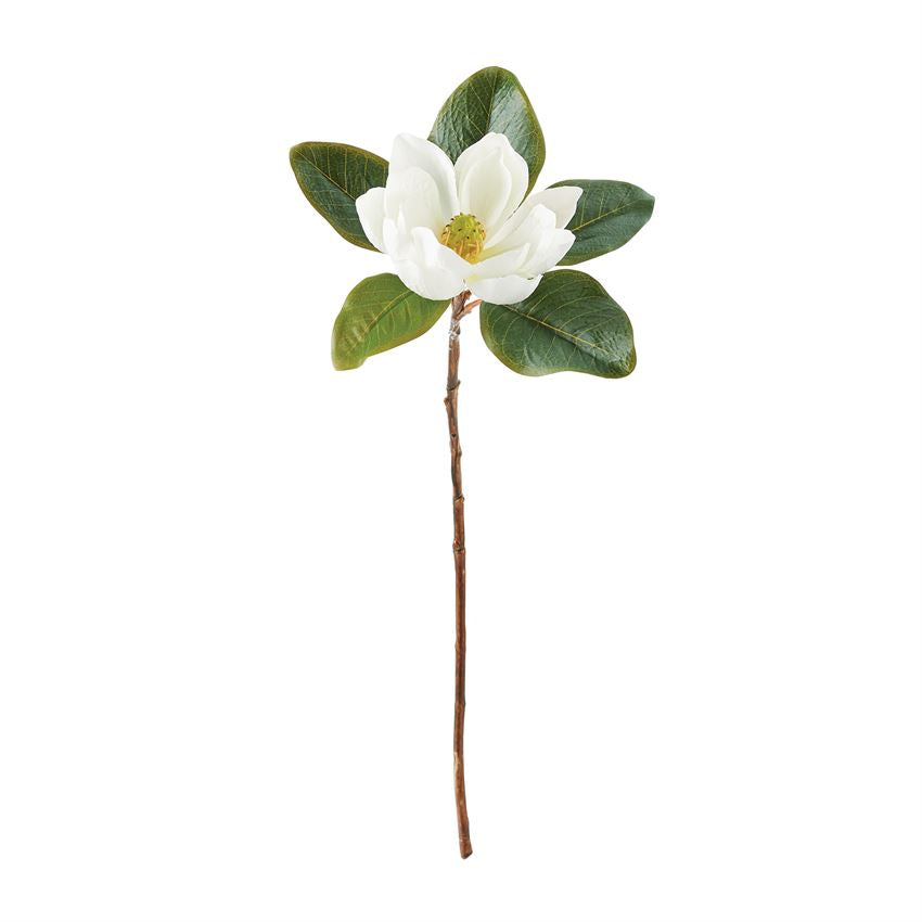 Rama de flor de magnolia 